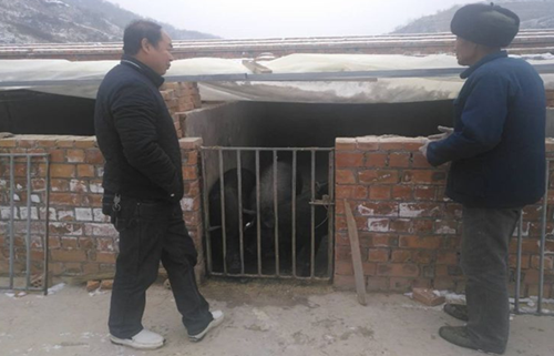 宝塔区枣园街道在田间地头学习十九大