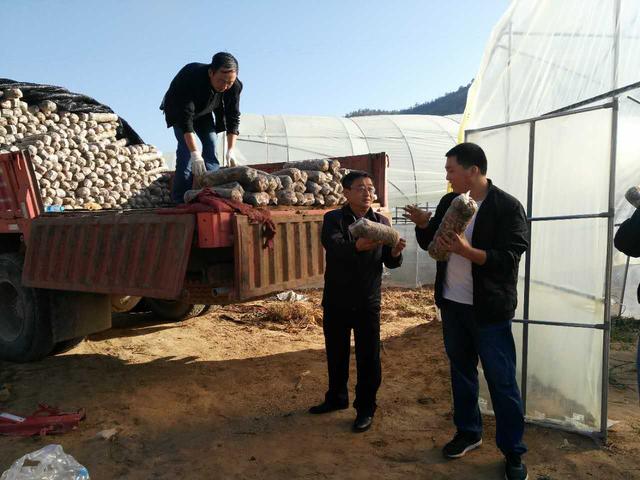 安塞区真武洞街道:纪律作风整顿助力脱贫攻坚