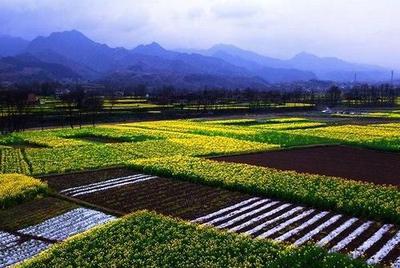 【纪检人】卢逸雯:用声音传递正能量
